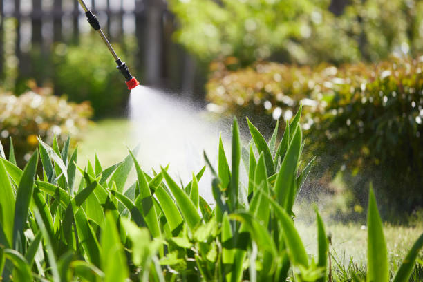 24/7 Emergency Ant Control experts in Jacksonville, NC