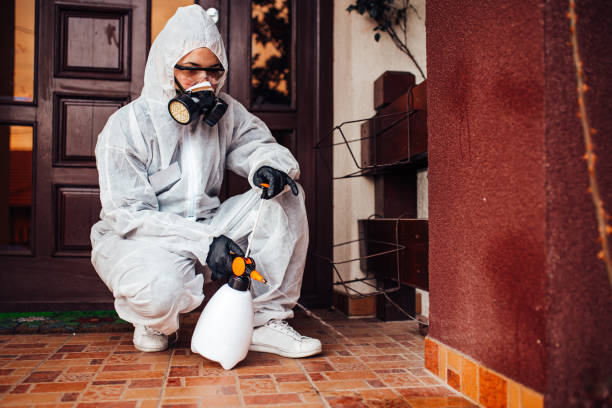 Reliable Ant Control contractor in Jacksonville, NC by Show Me Pest Control